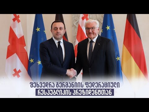 შეხვედრა გერმანიის ფედერაციული რესპუბლიკის პრეზიდენტთან